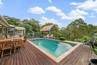 House For Lease - QLD - Belli Park - 4562 - Horse-Friendly Haven - Peaceful Acreage Living with Breathtaking Views  (Image 2)