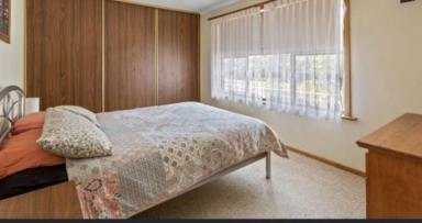 House For Lease - SA - Coffin Bay - 5607 - 1 Bed Cottage adjacent Long Beach National Park entry - Shed possibly available  (Image 2)