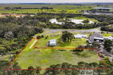 Residential Block For Sale - SA - Millicent - 5280 - Fantastic Small Lifestyle Allotment  (Image 2)