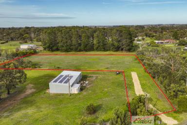 Residential Block For Sale - SA - Millicent - 5280 - Fantastic Small Lifestyle Allotment  (Image 2)