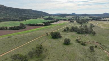 Other (Rural) For Sale - NSW - Berrigal - 2390 - 'The Glen"  (Image 2)