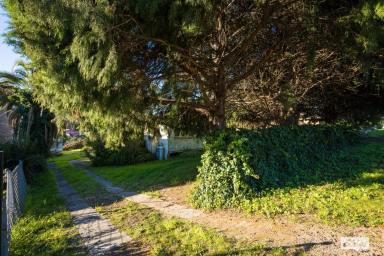 House For Sale - NSW - Bega - 2550 - Start Your Property Journey at 45 Rawlinson Street, Bega  (Image 2)