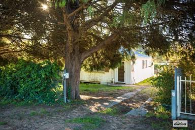 House For Sale - NSW - Bega - 2550 - Start Your Property Journey at 45 Rawlinson Street, Bega  (Image 2)