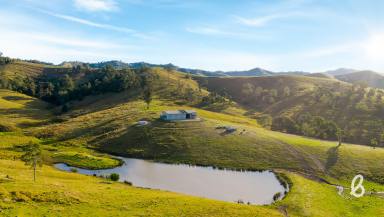 Other (Rural) Auction - NSW - Salisbury - 2420 - "Arabella" - Premium Hunter Valley Grazing Opportunity  (Image 2)