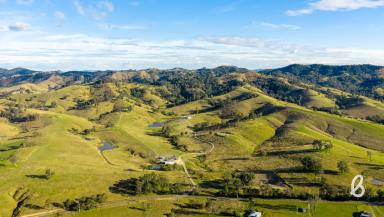 Other (Rural) Auction - NSW - Salisbury - 2420 - "Arabella" - Premium Hunter Valley Grazing Opportunity  (Image 2)
