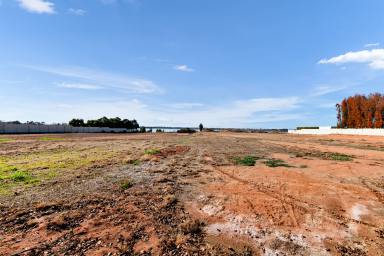 Residential Block For Sale - VIC - Mildura - 3500 - Embrace Nature's Beauty  (Image 2)