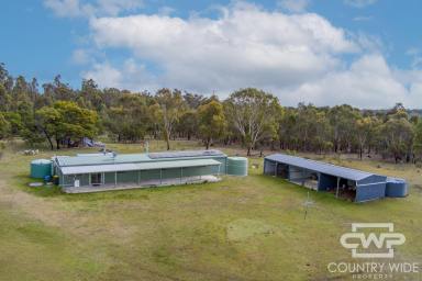 Lifestyle For Sale - NSW - Torrington - 2371 - Off-Grid Rural Retreat on Over 375 Acres  (Image 2)