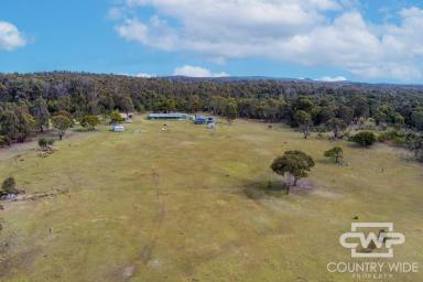 Lifestyle For Sale - NSW - Torrington - 2371 - Off-Grid Rural Retreat on Over 375 Acres  (Image 2)