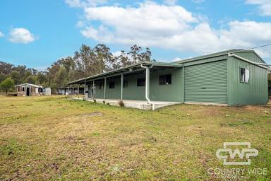 Lifestyle For Sale - NSW - Torrington - 2371 - Off-Grid Rural Retreat on Over 375 Acres  (Image 2)