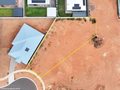 Residential Block For Sale - VIC - Irymple - 3498 - Prime Irymple Opportunity – Rare 1006sqm Allotment  (Image 2)