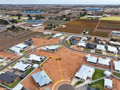 Residential Block For Sale - VIC - Irymple - 3498 - Prime Irymple Opportunity – Rare 1006sqm Allotment  (Image 2)