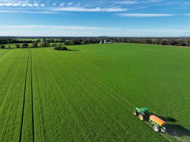 Mixed Farming Auction - NSW - Bellata - 2397 - Crop included providing 2025 cash flow  (Image 2)