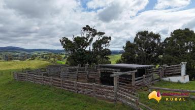 Other (Rural) For Sale - QLD - Tarzali - 4885 - Figtree Brahman Stud  (Image 2)