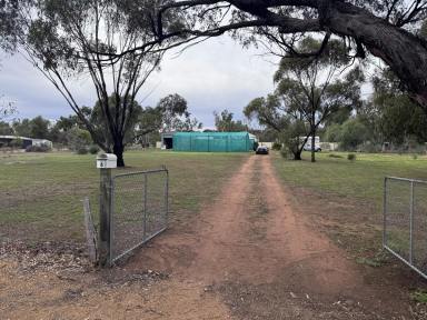 Residential Block For Sale - WA - York - 6302 - Lifestyle in York  (Image 2)