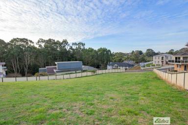 Residential Block For Sale - TAS - Romaine - 7320 - Build Big or Develop – Versatile Land in Popular Burnie Location  (Image 2)