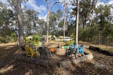 Residential Block For Sale - QLD - Glenwood - 4570 - HIDDEN OFF-GRID HAVEN IN GLENWOOD  (Image 2)