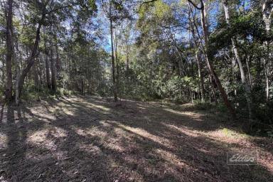 Residential Block For Sale - QLD - Glenwood - 4570 - SWAP TRAFFIC FOR TREES ON THIS PEACEFUL GLENWOOD ACREAGE  (Image 2)