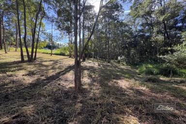 Residential Block For Sale - QLD - Glenwood - 4570 - SWAP TRAFFIC FOR TREES ON THIS PEACEFUL GLENWOOD ACREAGE  (Image 2)