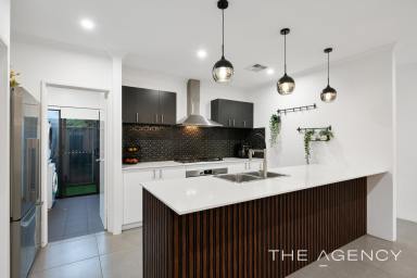 House For Sale - WA - Treeby - 6164 - Light, Bright & Family Living!!!  (Image 2)