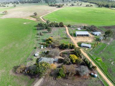 Other (Rural) For Sale - SA - Naracoorte - 5271 - $6,000,000  (Image 2)