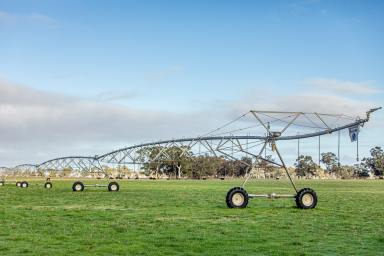 Other (Rural) For Sale - SA - Naracoorte - 5271 - $6,000,000  (Image 2)