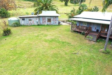 Mixed Farming For Sale - NSW - Kyogle - 2474 - A RARE RAINFOREST & LIFESTYLE RETREAT  (Image 2)