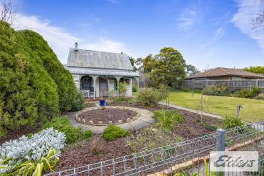 House For Sale - VIC - Avoca - 3467 - Timeless Country Charm with Lifestyle Appeal  (Image 2)