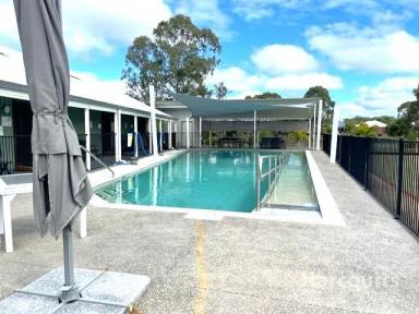 House For Sale - QLD - Eli Waters - 4655 - OWNER FOUND NEW HOME!  (Image 2)