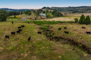 Acreage/Semi-rural For Sale - NSW - Numulgi - 2480 - Escape to Peace, Privacy & Potential - 15 Acres in the Byron Hinterland  (Image 2)