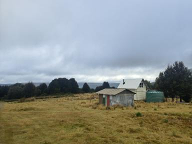 Studio For Sale - TAS - Wynyard - 7325 - Tiny House on Village Block – Affordable Country Escape  (Image 2)