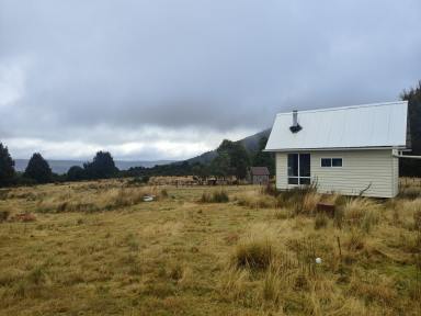 Studio For Sale - TAS - Wynyard - 7325 - Tiny House on Village Block – Affordable Country Escape  (Image 2)