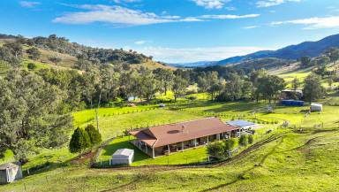 Lifestyle Auction - NSW - Tamworth - 2340 - PEACE DOWN IN THE VALLEY  (Image 2)