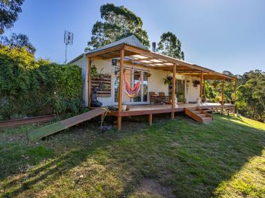Acreage/Semi-rural For Sale - NSW - Brogo - 2550 - UNWIND IN YOUR BUSH PARADISE!  (Image 2)