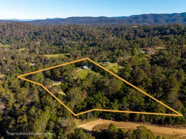 Acreage/Semi-rural For Sale - NSW - Brogo - 2550 - UNWIND IN YOUR BUSH PARADISE!  (Image 2)
