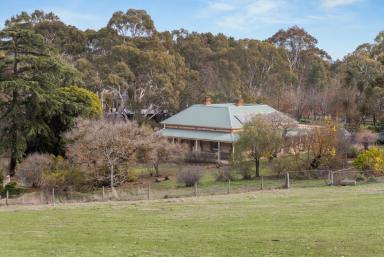 Acreage/Semi-rural For Sale - SA - Paechtown - 5245 - 'Glen Ellen' Homestead on 21 acres  (Image 2)