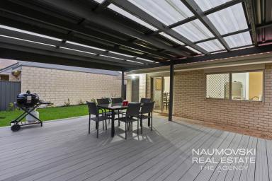 House For Sale - WA - Balcatta - 6021 - BRING THE FAMILY!  (Image 2)