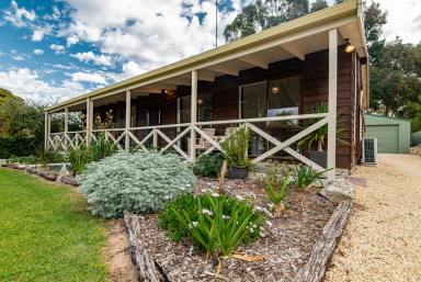 House For Sale - SA - Naracoorte - 5271 - Immaculately Presented, Beautifully Renovated - Large Block of 1,557m2  (Image 2)