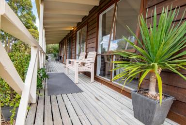 House For Sale - SA - Naracoorte - 5271 - Immaculately Presented, Beautifully Renovated - Large Block of 1,557m2  (Image 2)