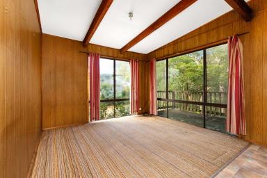 House Auction - NSW - Malua Bay - 2536 - Step into Malua Bays past – and shape its future  (Image 2)
