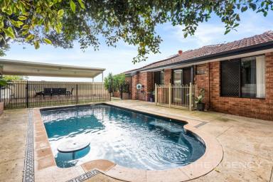 House For Sale - WA - Kardinya - 6163 - The Ultimate Crowd-Pleaser!  (Image 2)