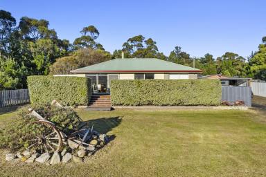 House For Sale - TAS - Copping - 7174 - Charming Country Home in the Heart of Copping where you can watch the world go by on approx. 1 acre  (Image 2)