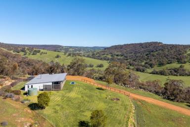 Other (Rural) For Sale - WA - Lower Chittering - 6084 - RIVER, VINEYARD & VALLEY VIEWS  (Image 2)