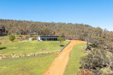 Other (Rural) For Sale - WA - Lower Chittering - 6084 - RIVER, VINEYARD & VALLEY VIEWS  (Image 2)