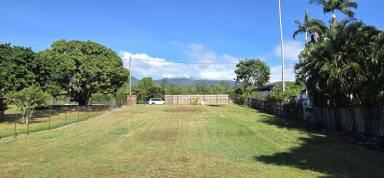 Residential Block For Sale - QLD - Cardwell - 4849 - Sea breezes and space to build - beachside opportunity - just minutes from the beach  (Image 2)