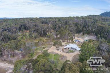 Lifestyle For Sale - NSW - Mount Mitchell - 2365 - Private Rural Escape!  (Image 2)