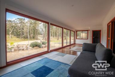 Lifestyle For Sale - NSW - Mount Mitchell - 2365 - Private Rural Escape!  (Image 2)