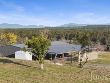 Lifestyle For Sale - NSW - Allandale - 2320 - Illalangi – Hunter Valley  (Image 2)