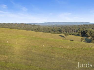 Lifestyle For Sale - NSW - Allandale - 2320 - Illalangi – Hunter Valley  (Image 2)
