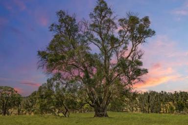 Residential Block For Sale - WA - Boyup Brook - 6244 - Tranquil 6-Acre Lifestyle Opportunity in Boyup Brook  (Image 2)