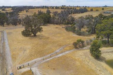 Residential Block For Sale - WA - Boyup Brook - 6244 - Tranquil 6-Acre Lifestyle Opportunity in Boyup Brook  (Image 2)